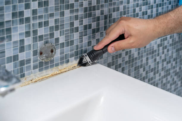 Best DIY Mold Remediation Support Services in Plattsburgh, NY